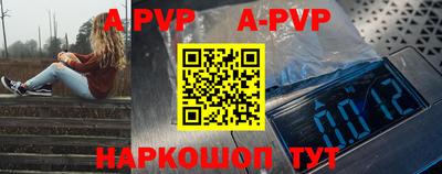 ешки Кингисепп