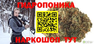 ешки Кингисепп