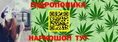 стаф Кинель