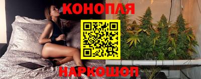 стаф Кинель