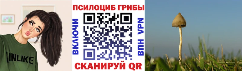 ОМГ ОМГ ссылка  Кострома  Псилоцибиновые грибы ЛСД 