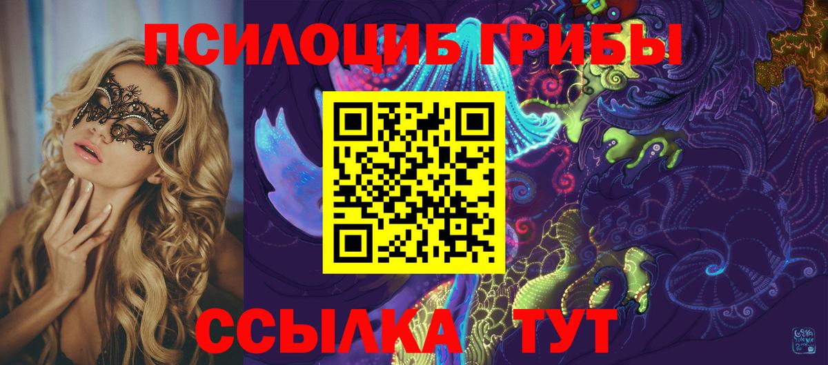 Псилоцибиновые грибы Cubensis Кострома